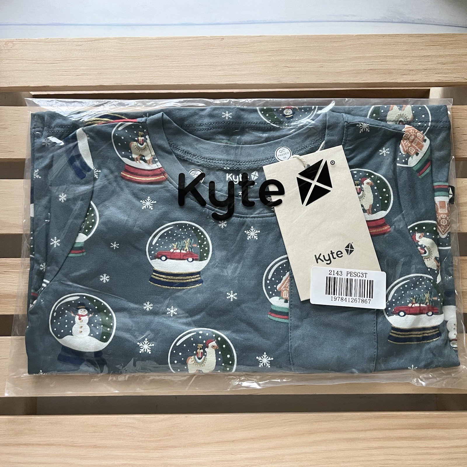 *NIB* Platinum Exclusive Kyte Baby 3T Long Sleeve Toddler Crew Neck T Snow Globe
