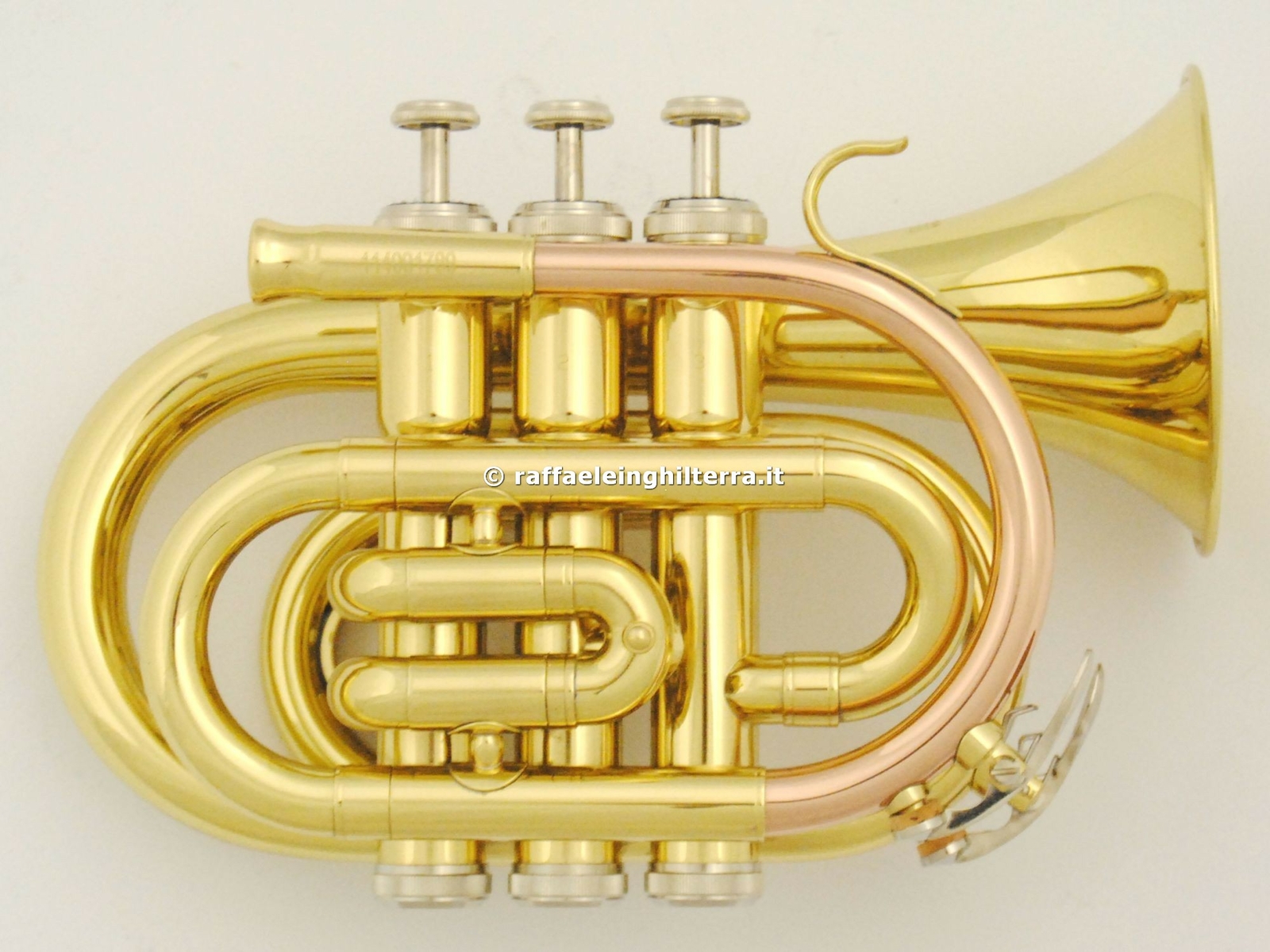 Roy Benson tromba sib pocket PT101 Laccata