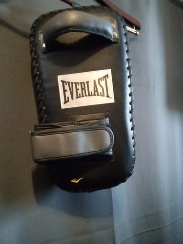 Everlast  MMA Muay Thai Kickboxing Martial Arts Training Sparring Pad New - Picture 7 of 7