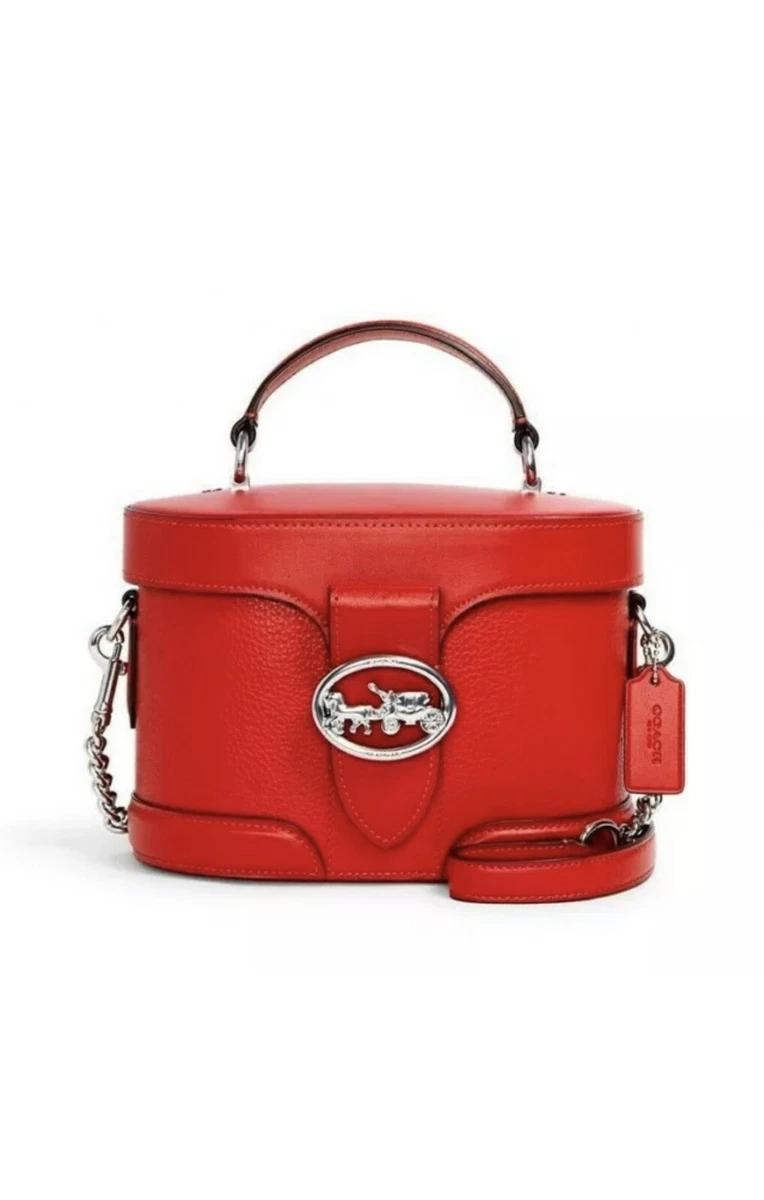 Coach vanity case bag sale