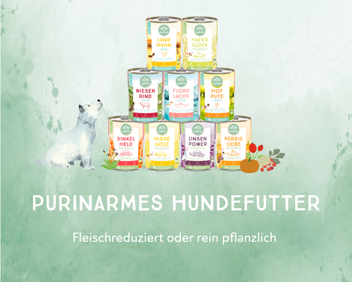 naftie Bio Linsen Power veganes Hundefutter Nassfutter Menü, 6x 800g - Bild 8 von 10