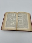 Foto 11 di 14