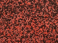 Tropical Fish Small Mix Soft Bits Color Worms Discus Angel Fish Blood Parrot 461