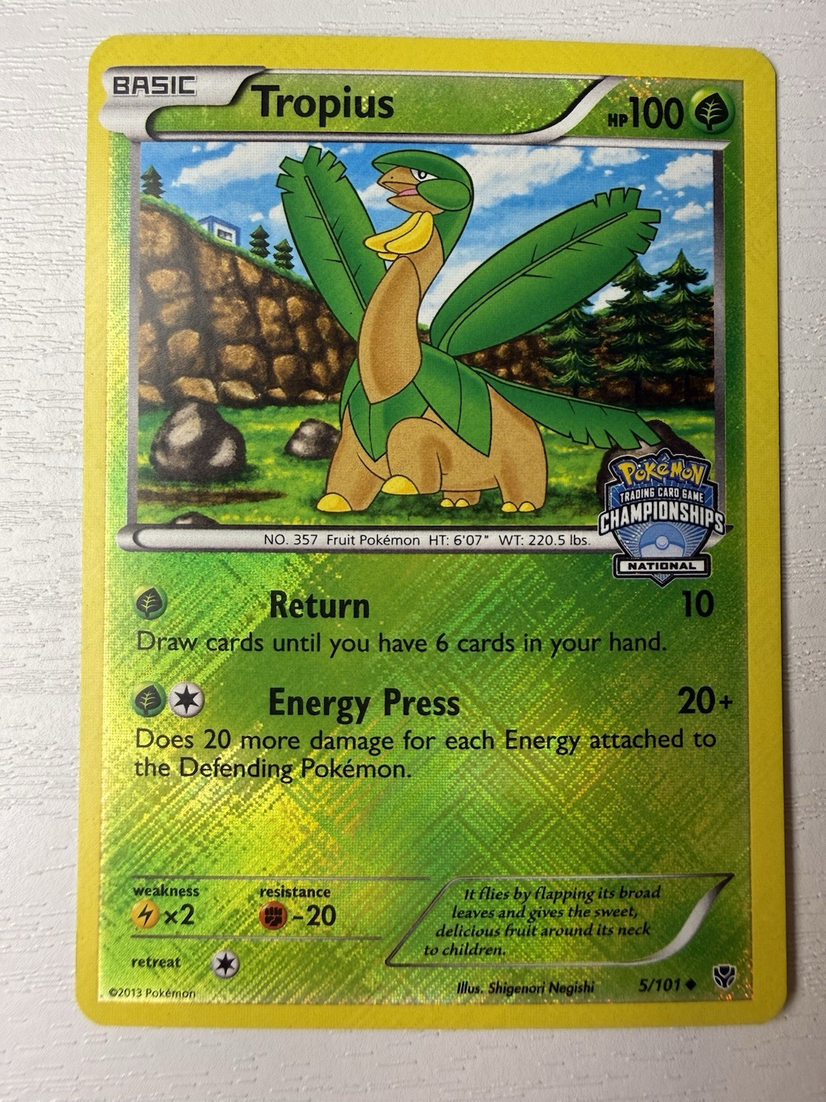 Tropius - 5/101 National Championship Promo, Crosshatch Holo Pokemon Plasma - NM