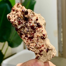 74G Natural Garnet with rock Gorgeous rough raw Crystal Mineral Specimen