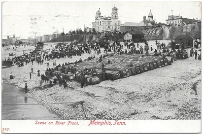 Memphis Tennessee Scene on the River Front-Bales of Cotton on levee 1908