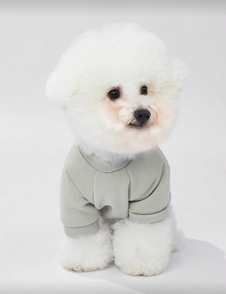 Novo Moletom Dog “Just Dog It” Gola Redonda – Tamanhos P & M - Imagem 4 de 4