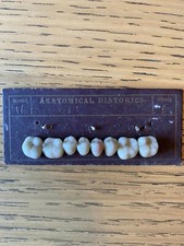 Rare Antique Vintage False Teeth  Unusual Dentures Anatomical Diatoric
