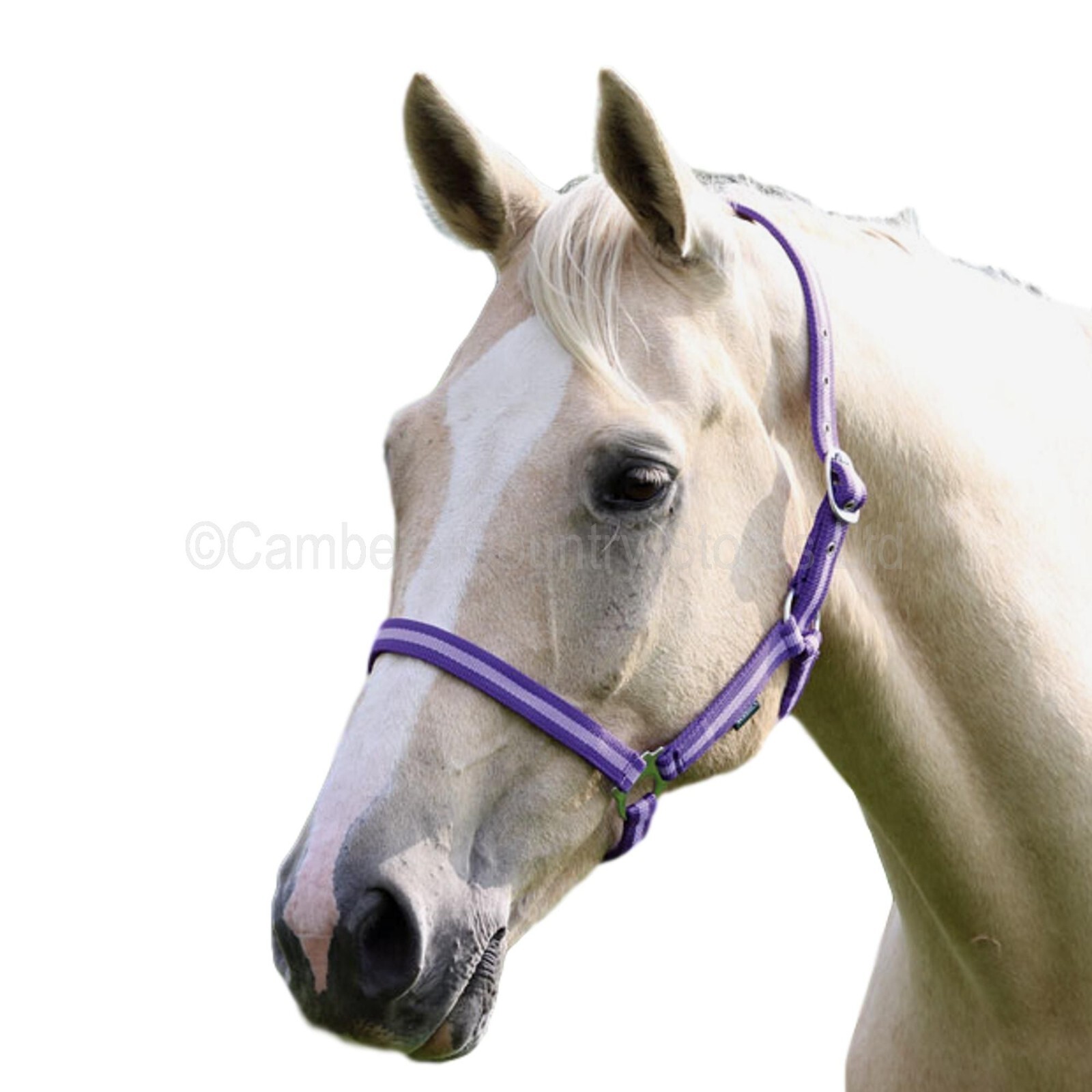 NEW Quality Shires Equine & Horse Wessex Headcollar Head Collar