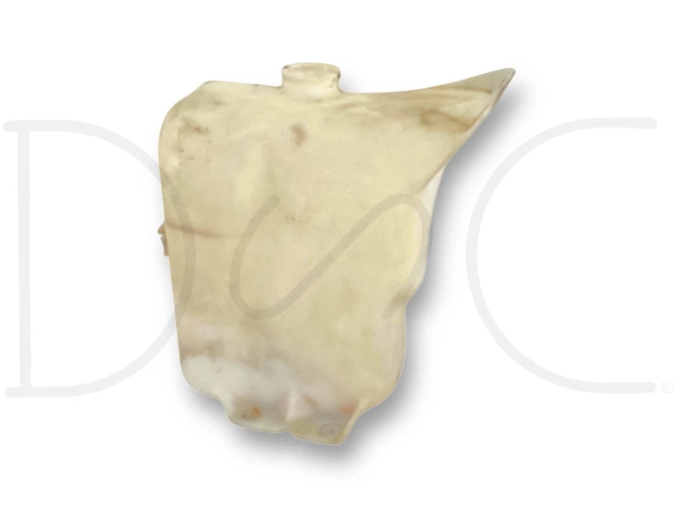 Резервуар бак омывателя ветрового стекла 84-98 Ford F600 F650 F700 F800 с насосом изготовитель оборудования - Изображение 2 из 4