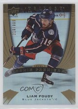 2020-21 Upper Deck Trilogy Rookie Premieres 219/999 Level 1 Liam Foudy #72 19rf