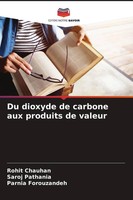 Rohit Chauhan (U. A.) | Du Dioxyde De Carbone Aux Produits De Valeur | Buch
