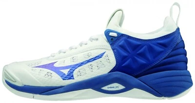 Mizuno Wave Momentum Handball Schuhe Sport Halle Indoor Schuh