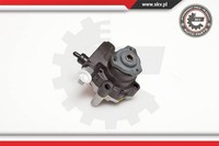 Esen SKV Servopumpe FüR Land Rover Freelander Soft Top Ln_ LN 10SKV094