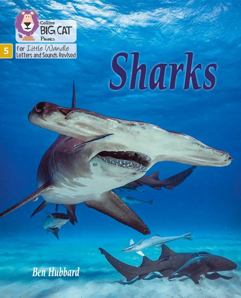 Sharks | Phase 5 Set 1 | Ben Hubbard | Englisch | Taschenbuch | 2021-image