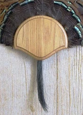 Solid Medium Oak Turkey Fan / Beard Mounting Kit -01 