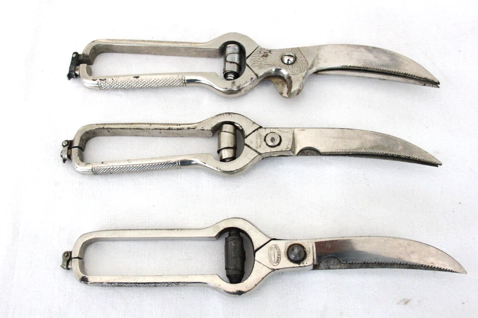 Geflügelscheren - alte Hähnchenscheren - Geflügel Scheren - 3 Stück