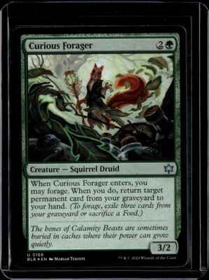 Curious Forager - 169 - Foil - BLB - NM - MTG Magic the Gathering | eBay