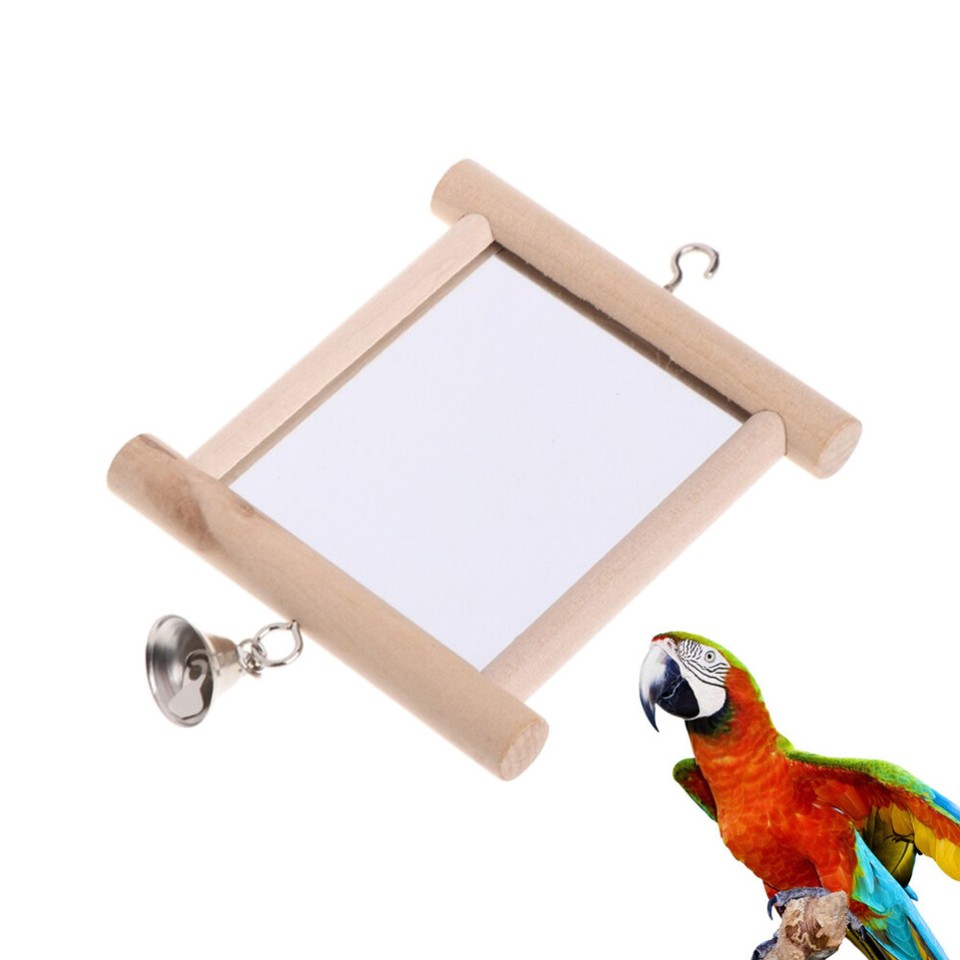 Birdcage Stands Parrot Swing Interactive Toys Parrot Mirror Parrot