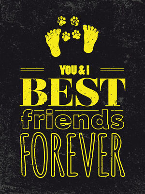 Blechschild 30x40 Freunde You I best friends forever Wand Deko Cafe Sammler Gesc