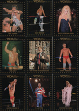 1991 WCW Wrestling Trading Cards - Assorted Lot of 19