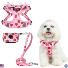 PUPTECK Reflective No-Pull Dog Harness & Leash Set for Small Pets - Adjustable