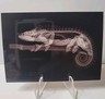 2024 Topps Allen & Ginter X-Ray Insert #XR-2 - Mellers Chameleon Oregon Zoo