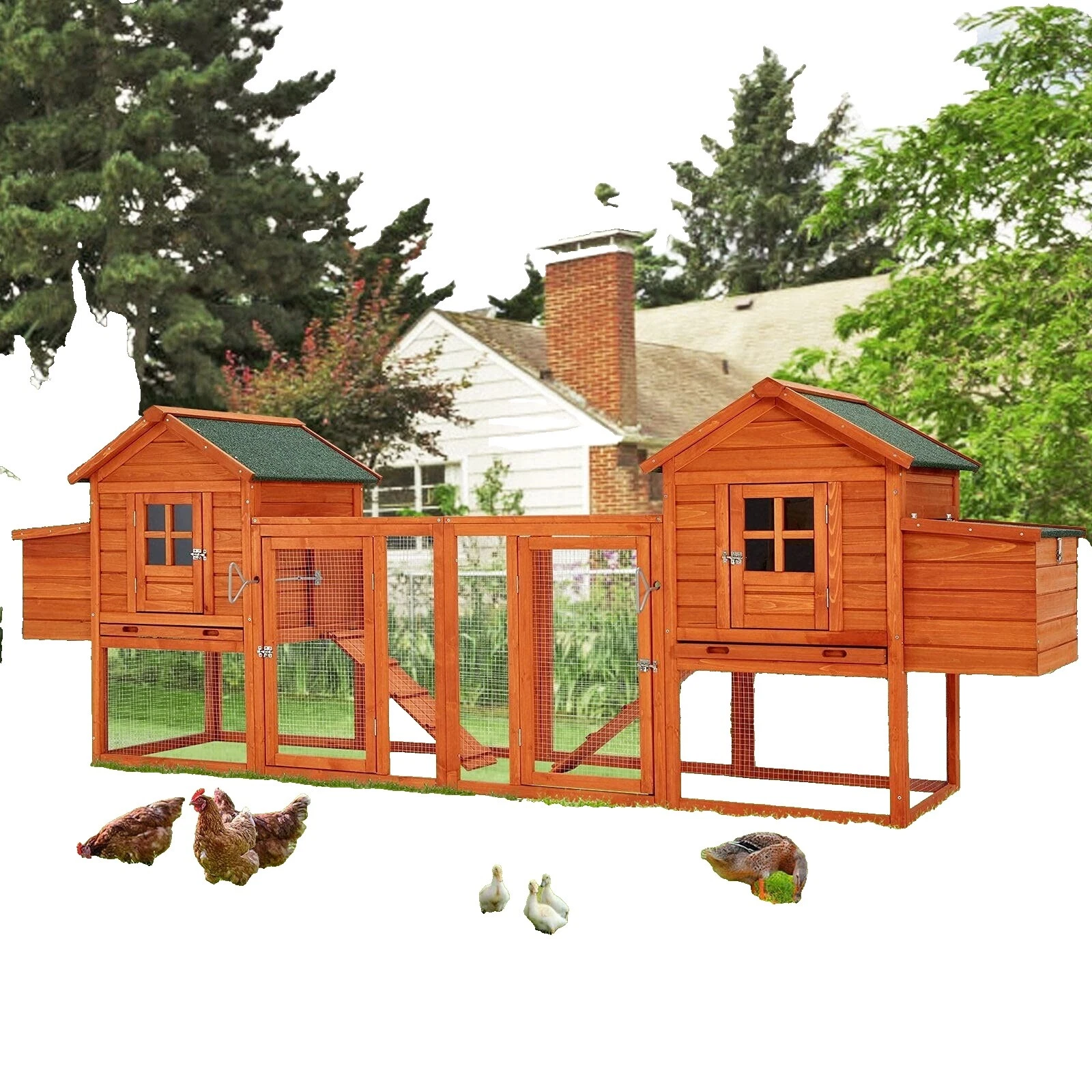 Casas Manual/coops Patio suministros de aves de corral