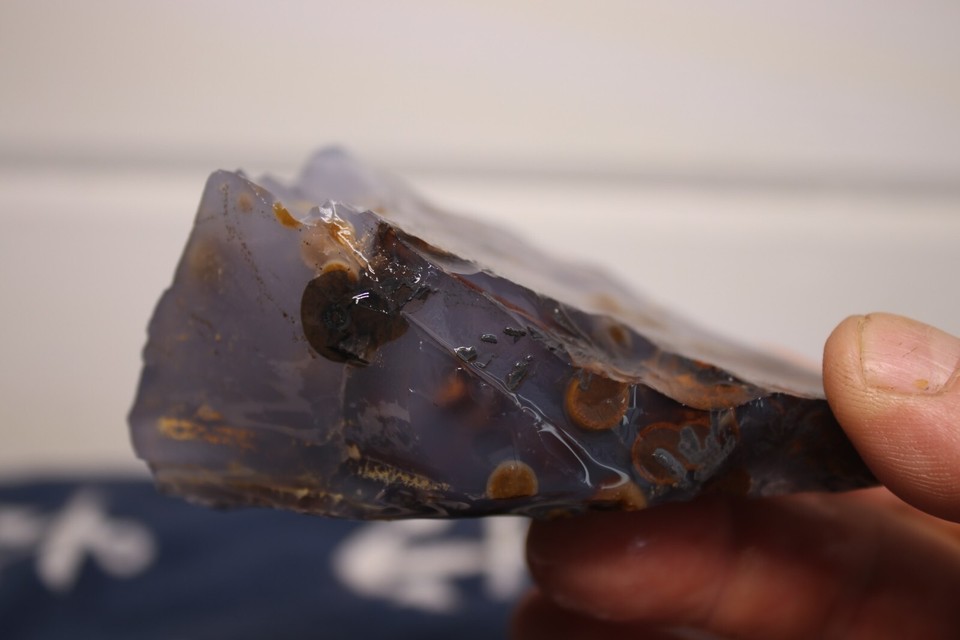 1LB Blue Ice Polka Dot Agate. Madras Oregon Lapidary Rough eBay