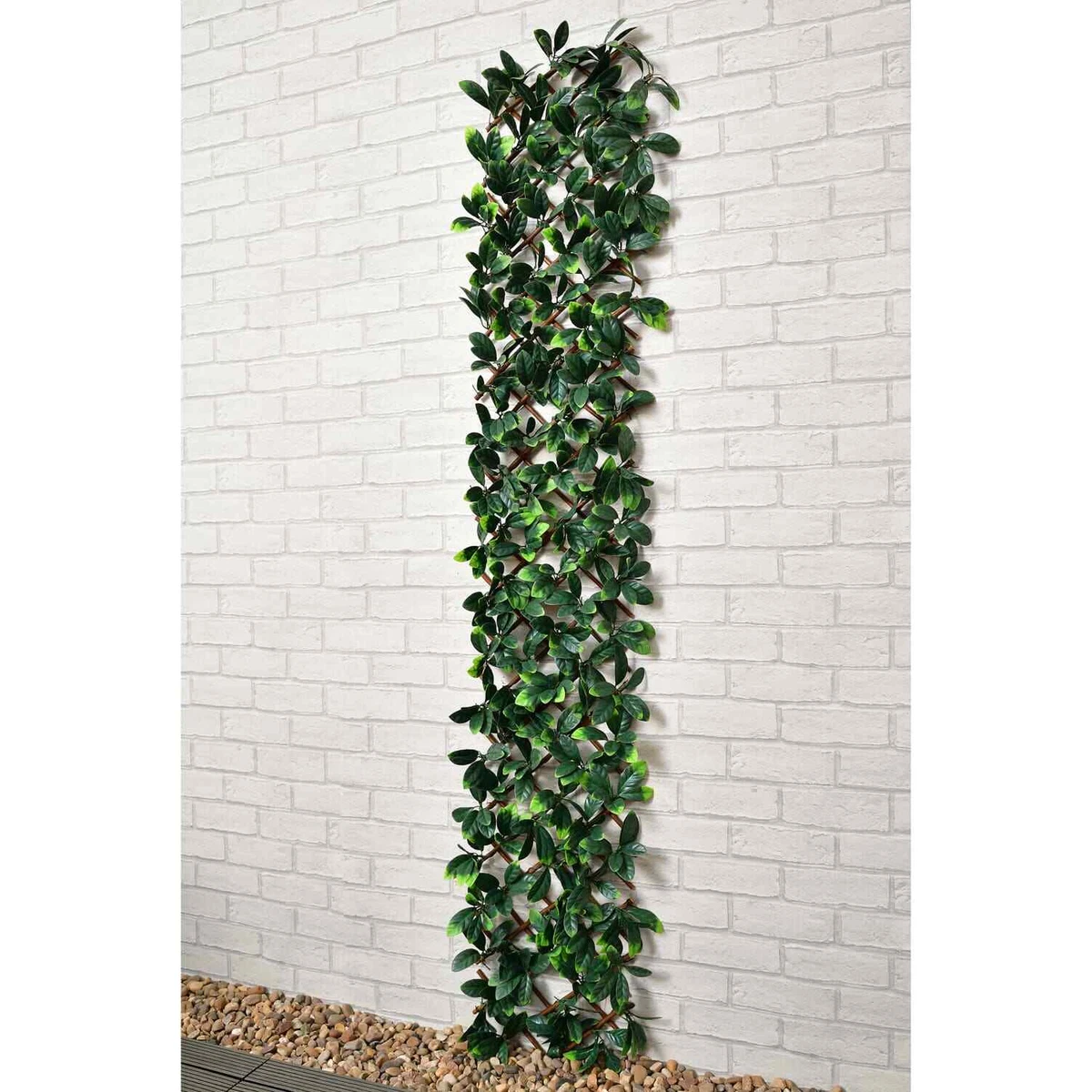 Leaf trellis online