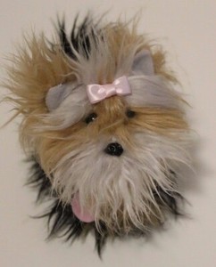american girl yorkie dog