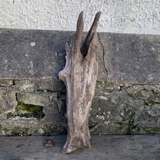 Large Driftwood Piece ideal floristry/Craft/Viv/Display Length 76cm 3.5kg
