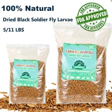 Bulk Dried Black Soldier Fly Larvae 100% Natural Non-GMO Treats for Chicken Bird