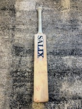 Salix AJK performance cricket bat