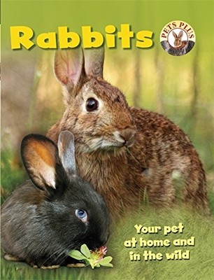 Rabbits (Pets Plus),Sally Morgan
