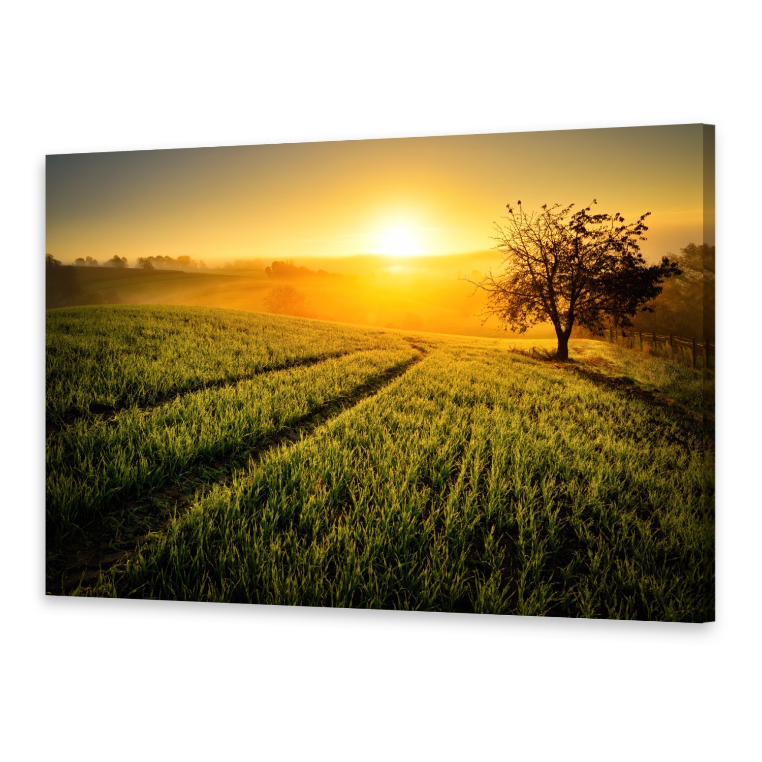 Leinwand-Bilder Wandbild Druck auf Canvas Kunstdruck Hügel Baum Leinwand-Bilder Wandbild Druck auf Canvas Kunstdruck Hügel Baum