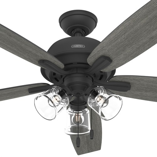 Hunter Fan 60 inch Traditional Matte Black Ceiling Fan with Light and Pull Chain - Picture 1 of 7