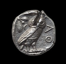  on The Hot Collector