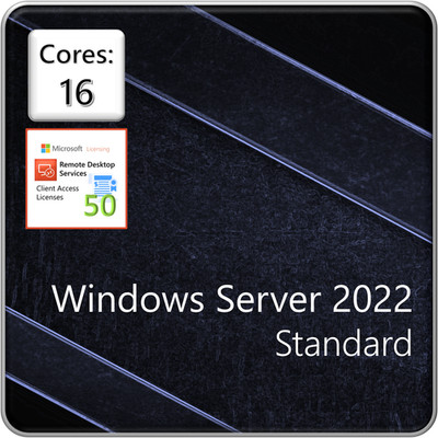 Windows Server 2022 Standard Edition - 16 Core License/2VM & 50 RDS Device CALs