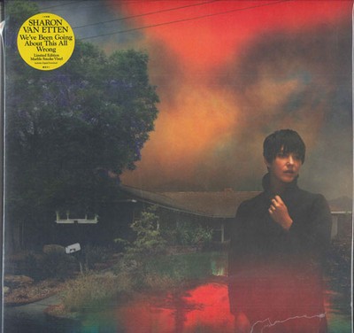 Sharon Van Etten/We’ve Been Going ~/LP We've Been Going About This All Wrong | Sharon Van Etten
