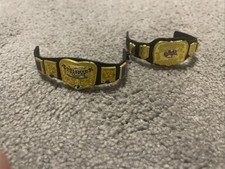 WWE Tag Team Champions