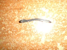 FEG MODEL SMC-380 .380 AUTO CALIBER SEMI AUTO PISTOL TRIGGER BAR