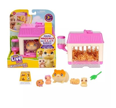 Mama Überraschung Minis Hamster Enthüllung 2, 3 Oder 4 Mini Babys
