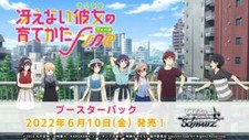 Weiss Schwarz Japanese Saekano fine/How to Raise a Boring Girlfriend Playset