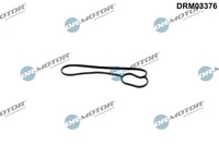 Dr.Motor Automotive DRM03376 Dichtung, Wasserpumpe FüR BMW
