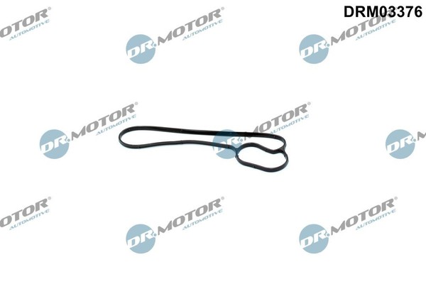 Dr.Motor Automotive DRM03376 Dichtung, Wasserpumpe FüR BMW-image