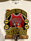 Mens XL Chicago Bulls 1996 Greatest Team Ever Championship - Starter T Vintage — photo 4