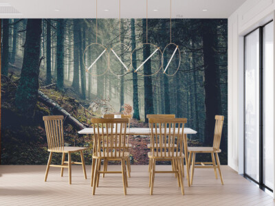 3D Sunshine Forest Scenery Self-adhesive Removable Wallpaper Murals Wall 3