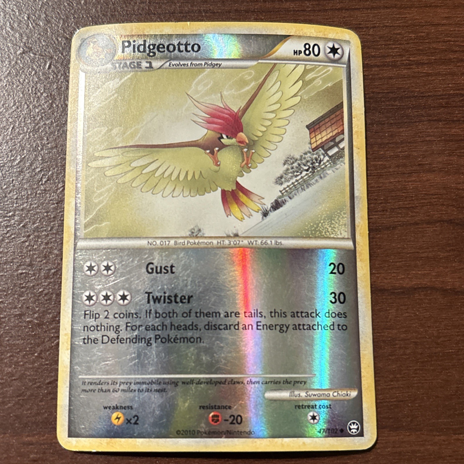 Rare 2010 Pokemon TCG Pidgeotto 47/102 Triumphant Reverse Holo MP