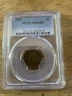 PCGS 1902 BN MS-62 Indian Head Cent